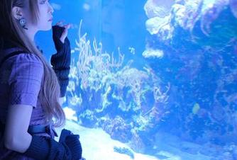 图集一翻，月城委员会的长腿刺激了我的视神经。